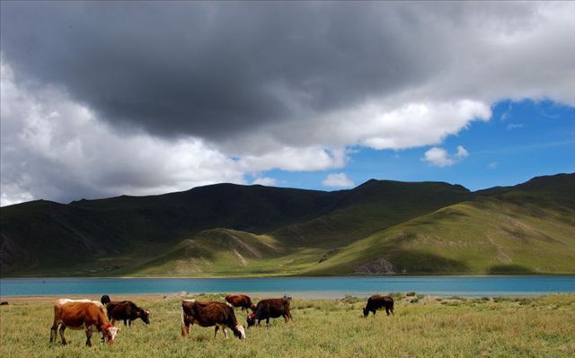 Lake Yamzho Yumco