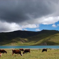 Lake Yamzho Yumco, Tibet Tours