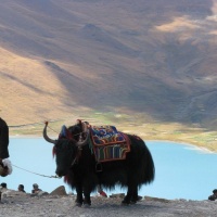 Lake Yamzho Yumco