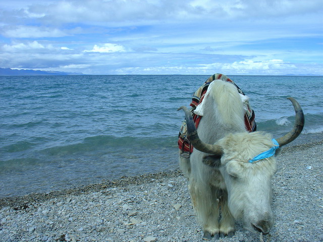 Namtso Lake