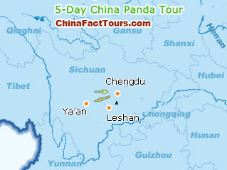 5-Day China Panda Tour