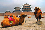 Silk Road Tours