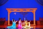 Tang Dynasty Music and Dance Show