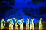 Tang Dynasty Music and Dance Show