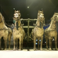 Terracotta Warriors, Xian Tours