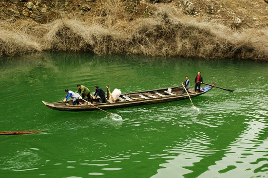 Shennong Stream