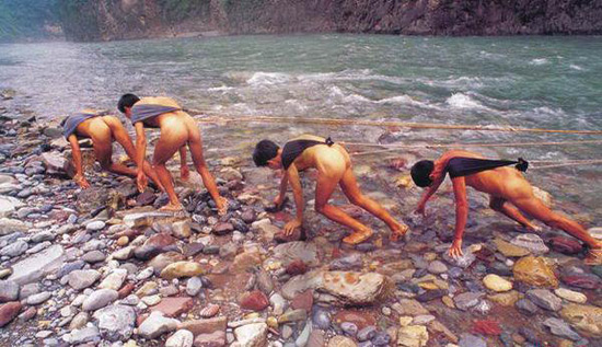 Shennong Stream