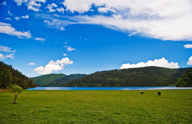 Bita Lake Yunnan