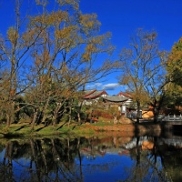 Black Dragon Pool Lijiang, Yunnan Tours