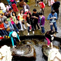 Butterfly Spring Dali, Yunnan Tours