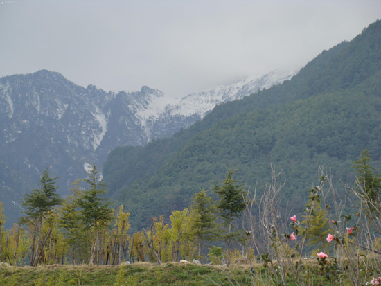 Cangshan Mountain