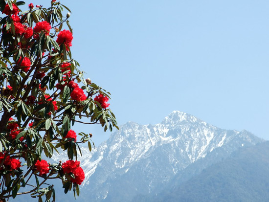 Cangshan Mountain