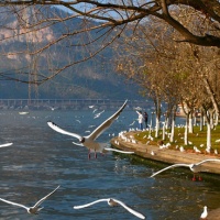 Dianchi Lake Kunming, Yunnan Tours