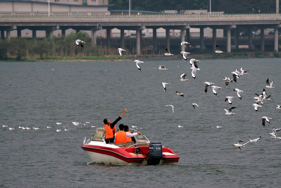 Dianchi Lake