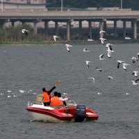 Dianchi Lake Kunming, Yunnan Tours