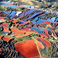 Duoyishu Terraced Fields