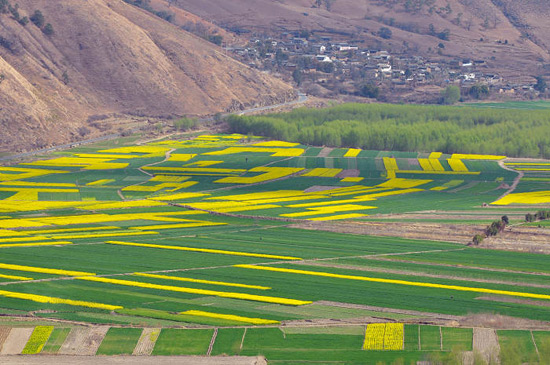 First Bend Of Yangtze