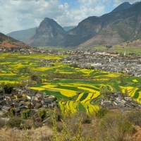 First Bend Of Yangtze Lijiang, Yunnan Tours