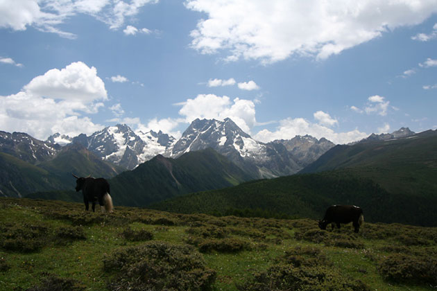 Haba Snow Mountain