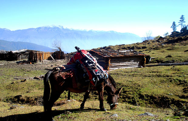 Haba Village