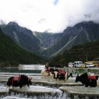 Jade Dragon Snow Mountain Lijiang, Yunnan Tours