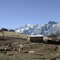 Jade Dragon Snow Mountain