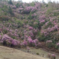 Mountain Laojun Lijiang, Yunnan Tours