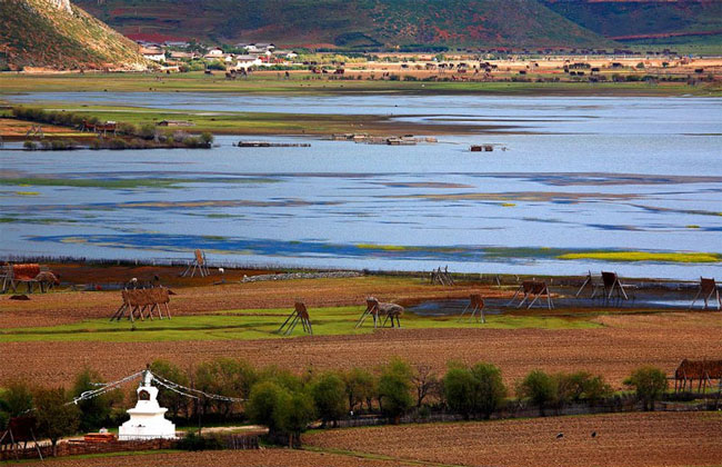 Napa Lake Zhongdian