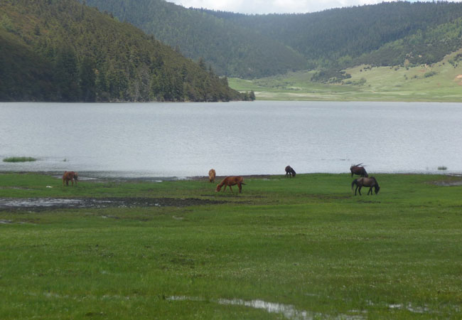 Shudu Lake