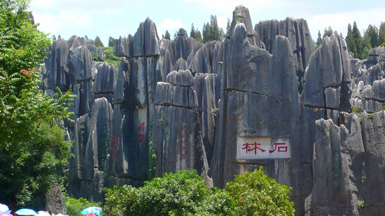 Stone Forest