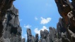 Stone Forest