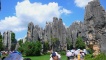 Stone Forest