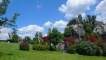 Stone Forest