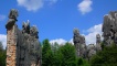 Stone Forest