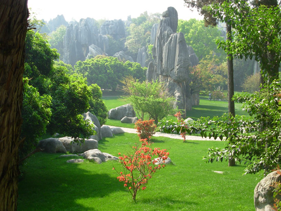 Stone Forest