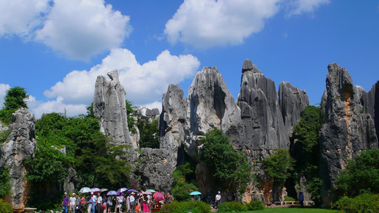 Stone Forest