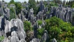 Stone Forest