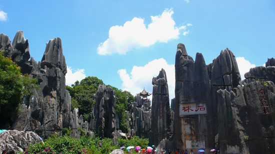 Stone Forest