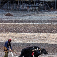 Three Parallel Rivers, Lijiang Yunnan Tours