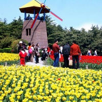 Kunming World Horticultural Exposition Garden