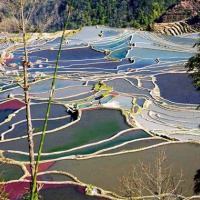 Yuanyang Rice Terraces