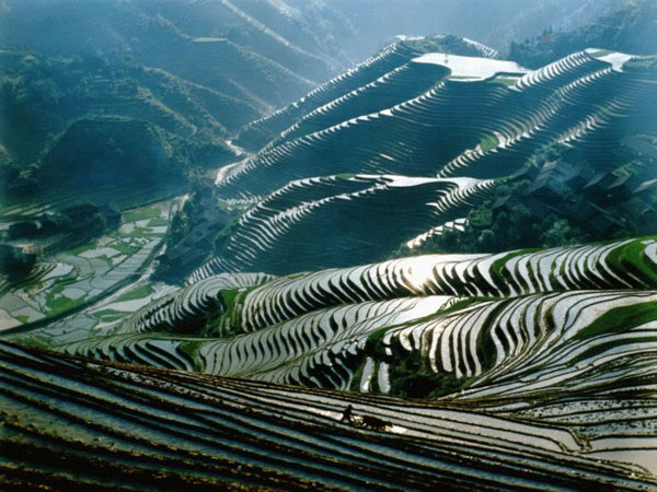 Yuanyang Rice Terraces