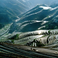 Yuanyang Rice Terraces