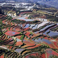 Yuanyang Rice Terraces