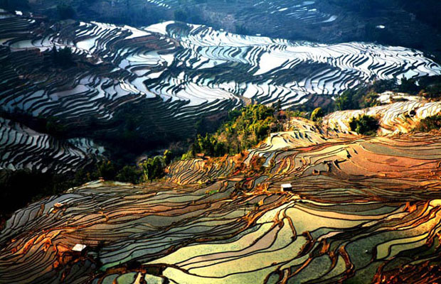 Yuanyang Rice Terraces