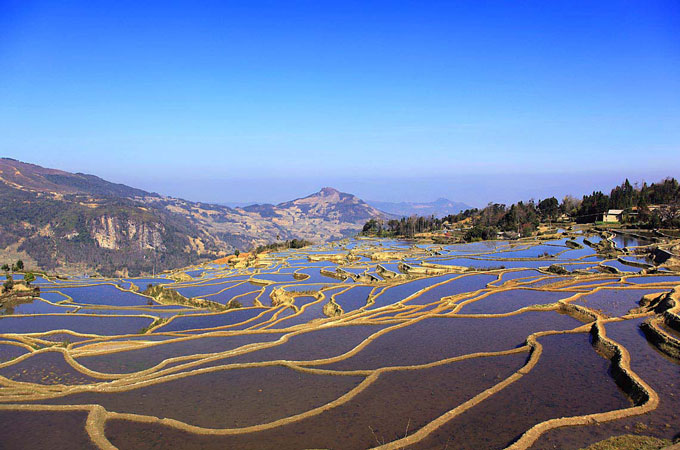 Yuanyang Rice Terraces