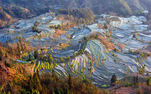 Yuanyang Rice Terraces