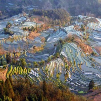 Yuanyang Rice Terraces