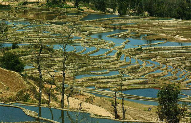 Yuanyang Rice Terraces