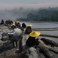 Yuanyang Rice Terraces